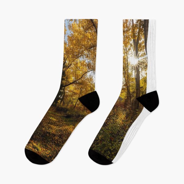 Item preview, Shadows of an Autumn Sun designed and sold by DawsonImages.