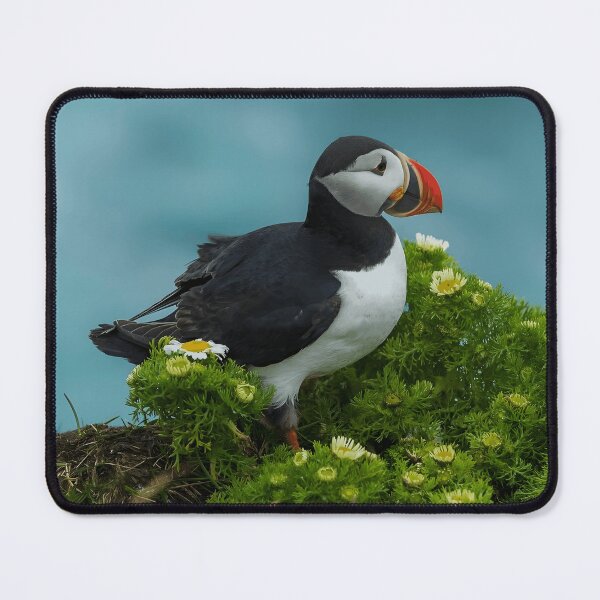 Item preview, Atlantic Puffin Among Coastal Flowers designed and sold by Nature Explore Game.