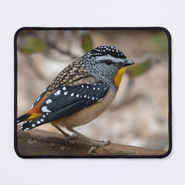 Item preview, Spotted Pardalote With Brilliant Yellow Throat designed and sold by Nature Explore Game.