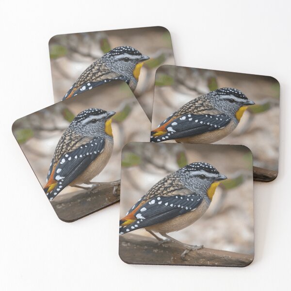 Item preview, Spotted Pardalote With Brilliant Yellow Throat designed and sold by Nature Explore Game.