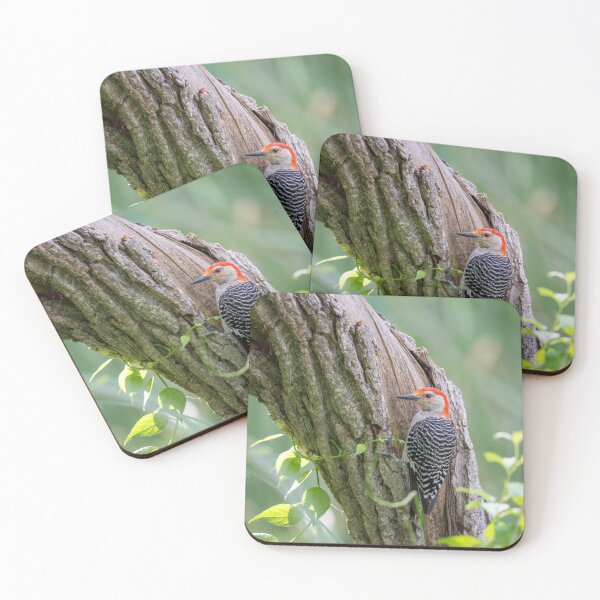 Item preview, Red-Bellied Woodpecker Clinging to a Forest Tree designed and sold by Nature Explore Game.