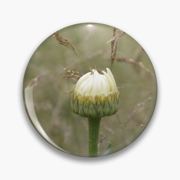 Item preview, White Flower Bud Opening in Meadow Grass designed and sold by MiraNadaPrints.