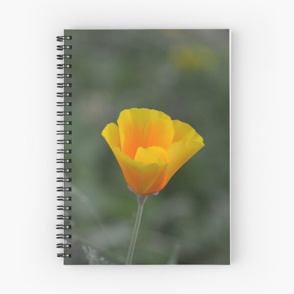 Item preview, Golden California Poppy in Soft Light designed and sold by MiraNadaPrints.