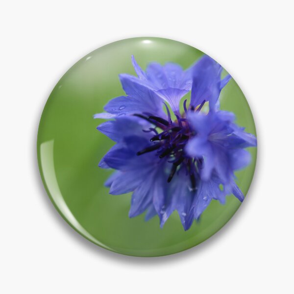 Item preview, Dreaming. Cornflower designed and sold by Jouko Lehto Photography.