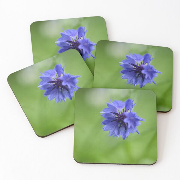 Item preview, Dreaming. Cornflower designed and sold by Jouko Lehto Photography.