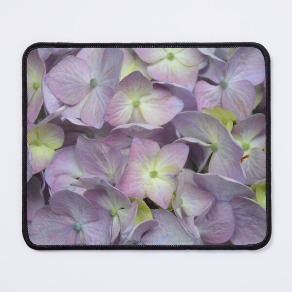 Item preview, Pastel Purple and Yellow Hydrangea Bloom designed and sold by MiraNadaPrints.