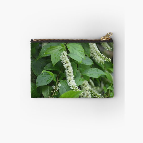 Item preview, White Clethra Flower Spikes with Raindrops designed and sold by MiraNadaPrints.