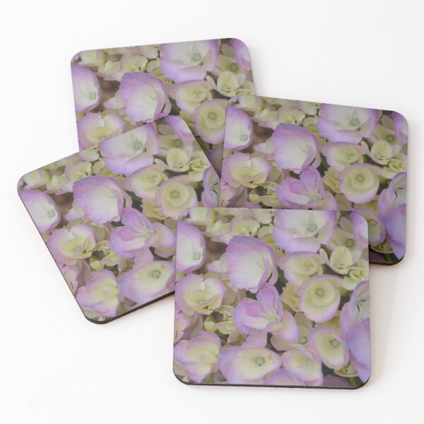 Item preview, Young Pink and Cream Hydrangea Blossoms designed and sold by MiraNadaPrints.