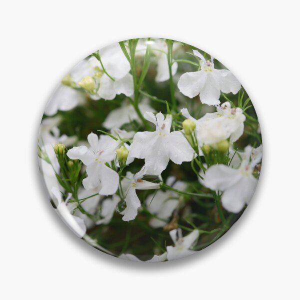 Item preview, White cloud. Lobelia designed and sold by Jouko Lehto Photography.