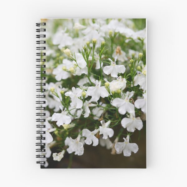 Item preview, White cloud. Lobelia designed and sold by Jouko Lehto Photography.