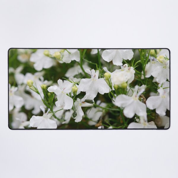 Item preview, White cloud. Lobelia designed and sold by Jouko Lehto Photography.