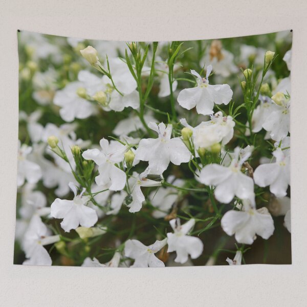 Item preview, White cloud. Lobelia designed and sold by Jouko Lehto Photography.