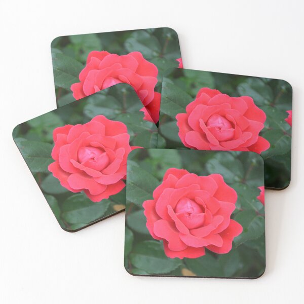 Item preview, Vibrant Red Rose in Full Bloom designed and sold by MiraNadaPrints.