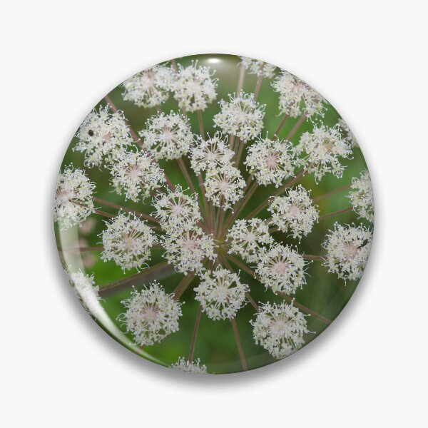 Item preview, Satellites. Wild Angelica designed and sold by Jouko Lehto Photography.