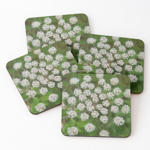 Item preview, Satellites. Wild Angelica designed and sold by Jouko Lehto Photography.
