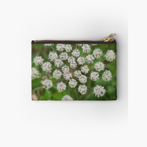 Item preview, Satellites. Wild Angelica designed and sold by Jouko Lehto Photography.