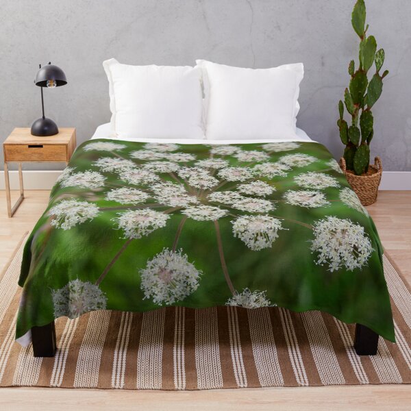 Item preview, Satellites. Wild Angelica designed and sold by Jouko Lehto Photography.