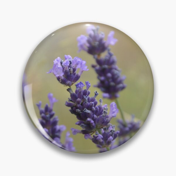 Item preview, Vivid English Lavender Flowers in Field designed and sold by MiraNadaPrints.