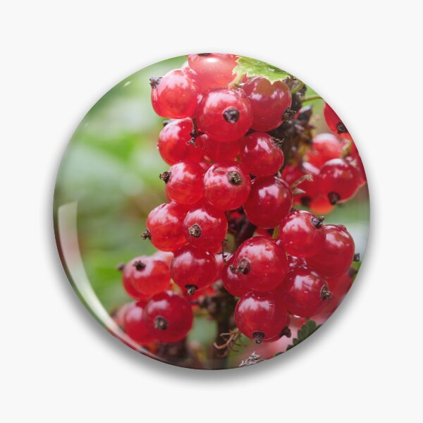 Item preview, Reds, Redcurrant. designed and sold by Jouko Lehto Photography.