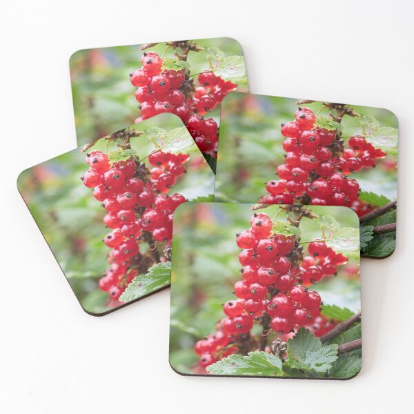 Item preview, Reds, Redcurrant. designed and sold by Jouko Lehto Photography.