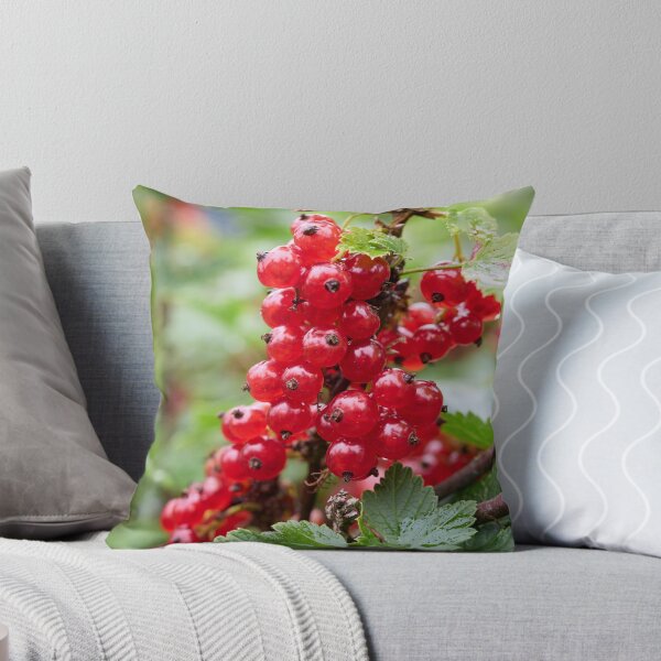 Item preview, Reds, Redcurrant. designed and sold by Jouko Lehto Photography.