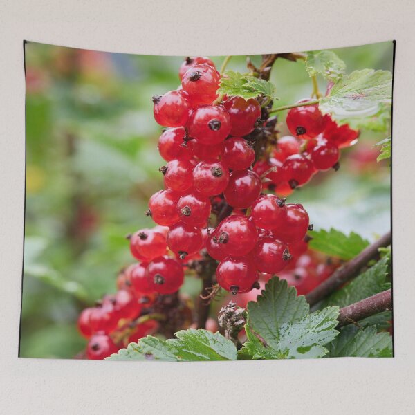 Item preview, Reds, Redcurrant. designed and sold by Jouko Lehto Photography.