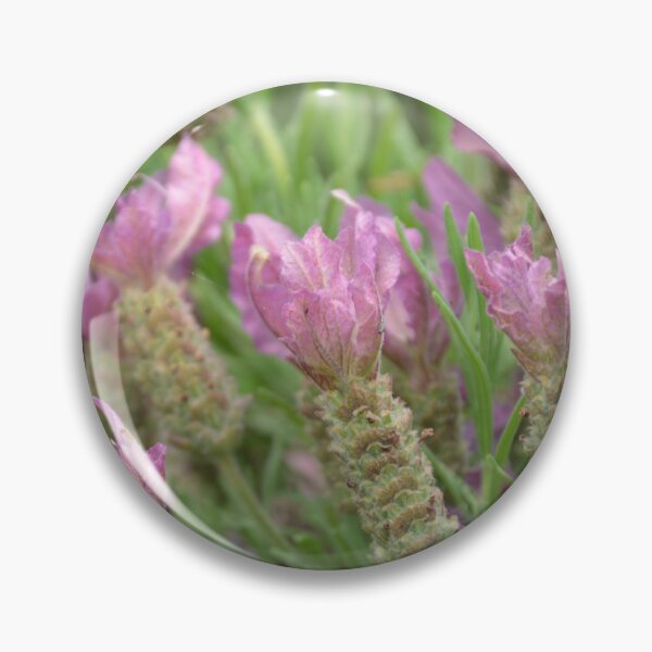 Item preview, Pink Spanish Lavender Seed Heads Macro designed and sold by MiraNadaPrints.