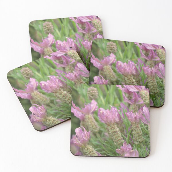 Item preview, Pink Spanish Lavender Seed Heads Macro designed and sold by MiraNadaPrints.