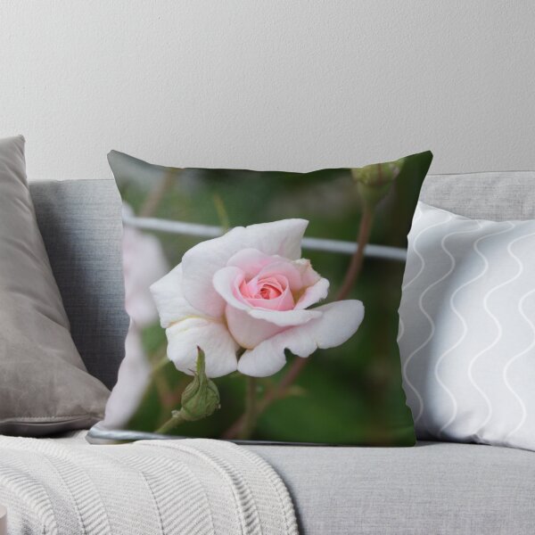 Item preview, Soft Pink Rose Opening on Trellis designed and sold by MiraNadaPrints.
