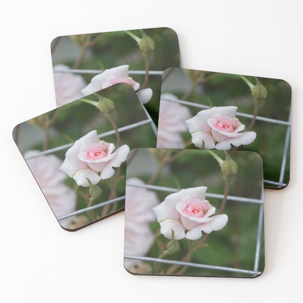 Item preview, Soft Pink Rose Opening on Trellis designed and sold by MiraNadaPrints.