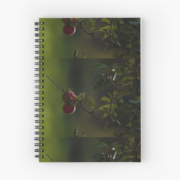 Item preview, Apples in the dark shadow designed and sold by MIKEASHOP156.