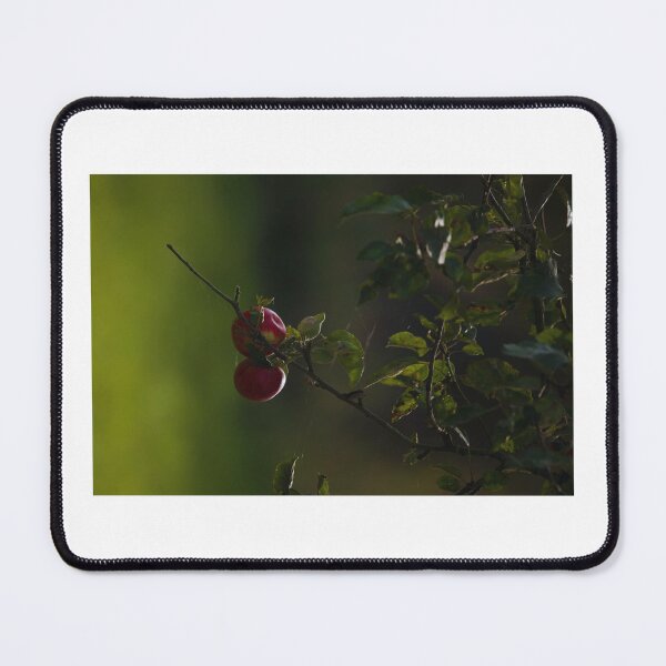 Item preview, Apples in the dark shadow designed and sold by MIKEASHOP156.