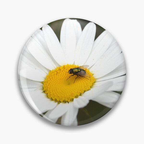Item preview, White Shasta Daisy with Green Fly designed and sold by MiraNadaPrints.