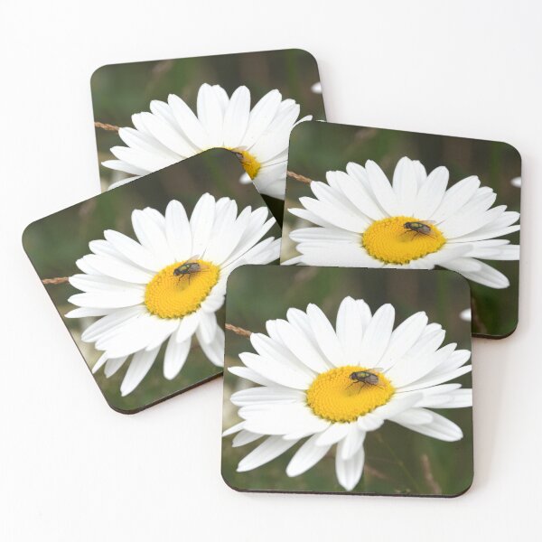 Item preview, White Shasta Daisy with Green Fly designed and sold by MiraNadaPrints.