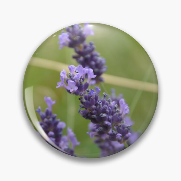 Item preview, Blooming Purple Lavender Spikes Close Up designed and sold by MiraNadaPrints.