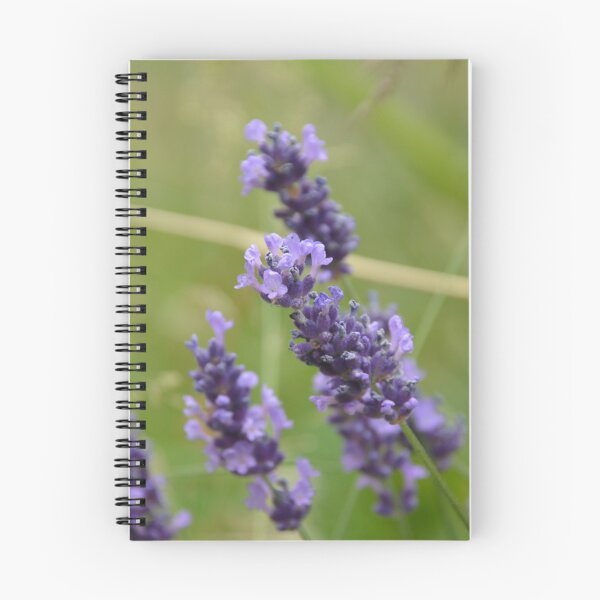 Item preview, Blooming Purple Lavender Spikes Close Up designed and sold by MiraNadaPrints.