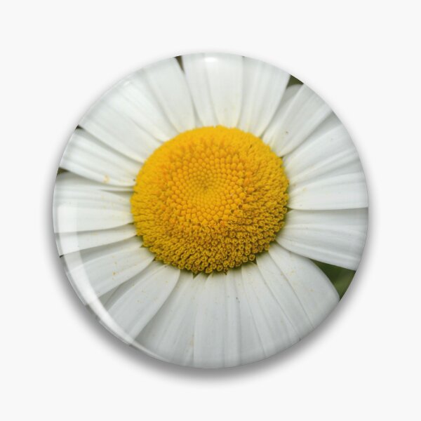 Item preview, Macro White Shasta Daisy Flower Center designed and sold by MiraNadaPrints.