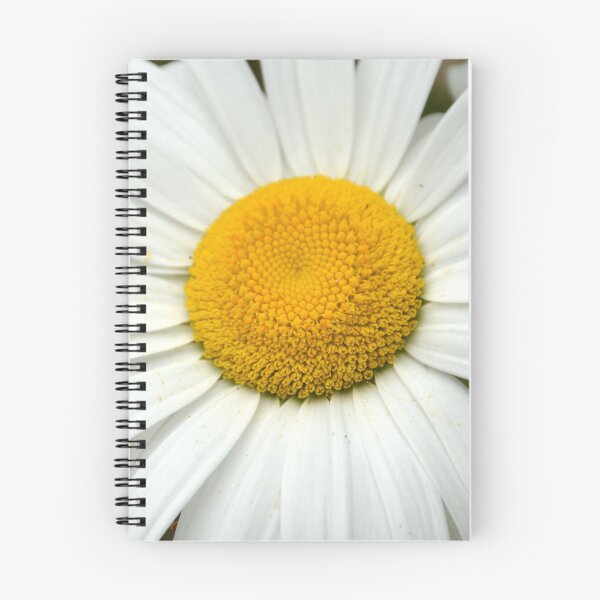Item preview, Macro White Shasta Daisy Flower Center designed and sold by MiraNadaPrints.