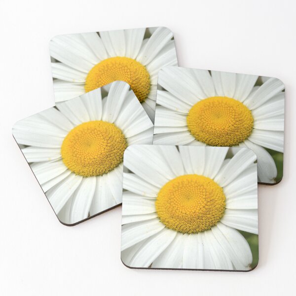 Item preview, Macro White Shasta Daisy Flower Center designed and sold by MiraNadaPrints.