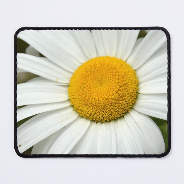 Item preview, Macro White Shasta Daisy Flower Center designed and sold by MiraNadaPrints.