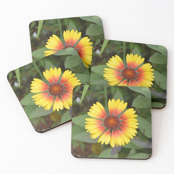 Item preview, Blanket Flower Gaillardia Overhead Macro View designed and sold by MiraNadaPrints.