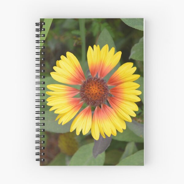 Item preview, Blanket Flower Gaillardia Overhead Macro View designed and sold by MiraNadaPrints.