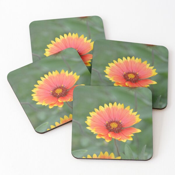 Item preview, Vibrant Red and Yellow Gaillardia Bloom designed and sold by MiraNadaPrints.