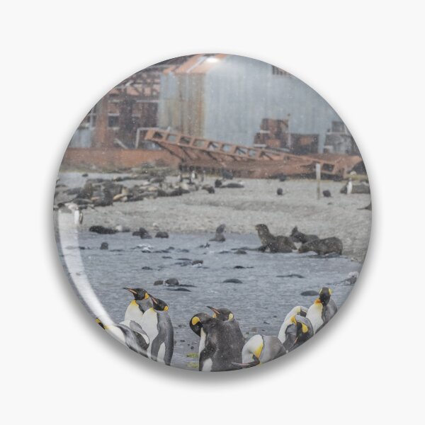 Item preview, Stromness South Georgia Island designed and sold by PhotoArt by Joan Carroll.