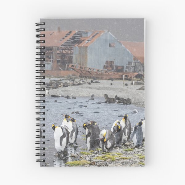 Item preview, Stromness South Georgia Island designed and sold by PhotoArt by Joan Carroll.