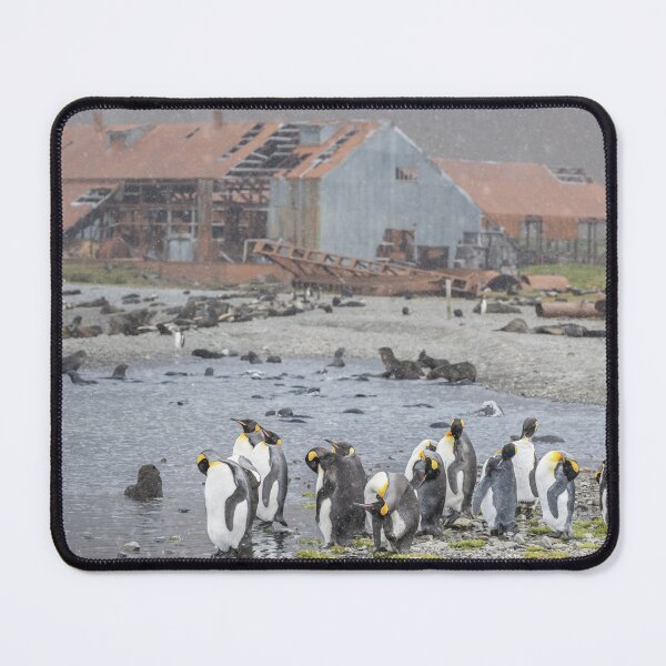 Item preview, Stromness South Georgia Island designed and sold by PhotoArt by Joan Carroll.
