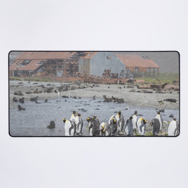 Item preview, Stromness South Georgia Island designed and sold by PhotoArt by Joan Carroll.