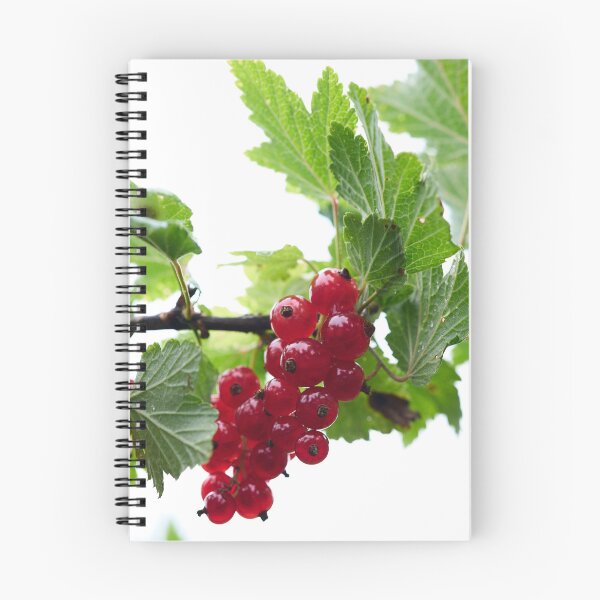 Item preview, Skyhigh. Redcurrant. designed and sold by Jouko Lehto Photography.