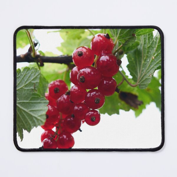 Item preview, Skyhigh. Redcurrant. designed and sold by Jouko Lehto Photography.