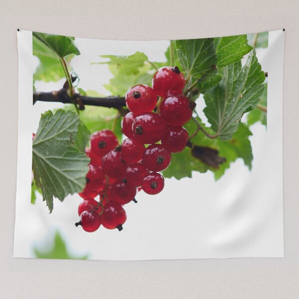 Item preview, Skyhigh. Redcurrant. designed and sold by Jouko Lehto Photography.